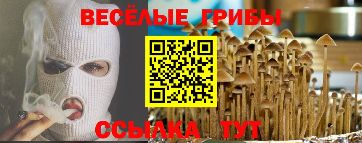 Галлюциногенные грибы MAGIC MUSHROOMS Новошахтинск