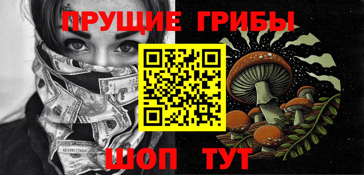 Псилоцибиновые грибы GOLDEN TEACHER  Вход с VPN  Новошахтинск 